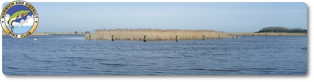 Norwich & District Pike Club